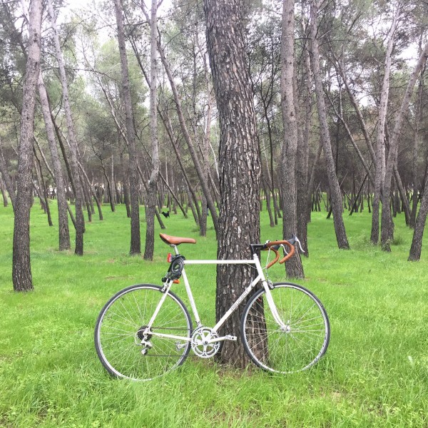 biking in Madrid by Naked Madrid