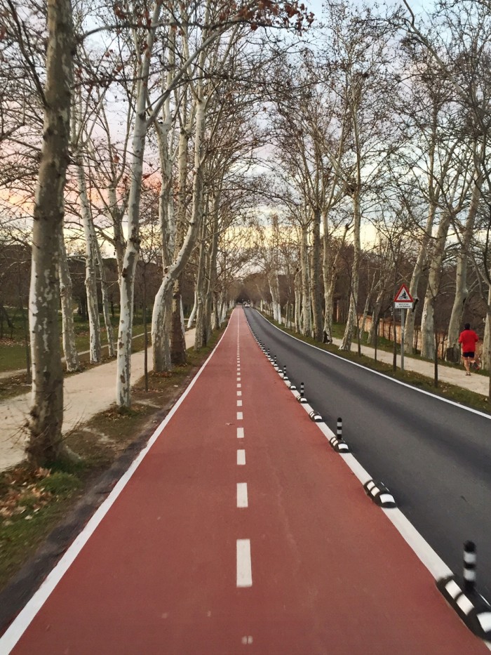 Bike lanes are growing