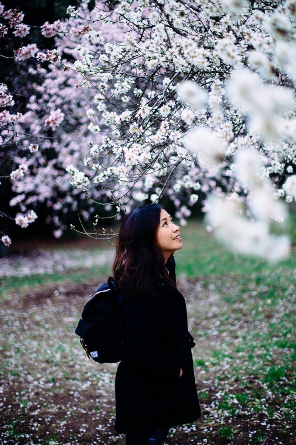 jenny peñas_almond trees_Parque Quinta Madrid